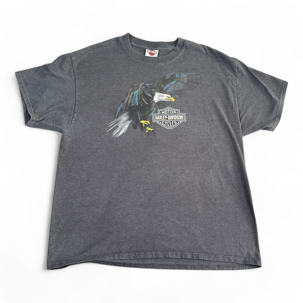 Harley Davidson Shirt Adult LARGE Gray Rossiters Sarasota Florida Motorcycles